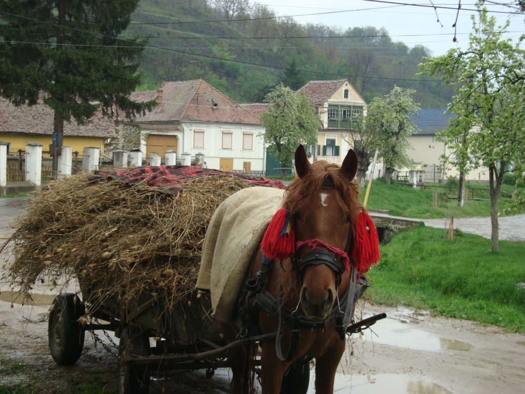 transilvania cosa vedere