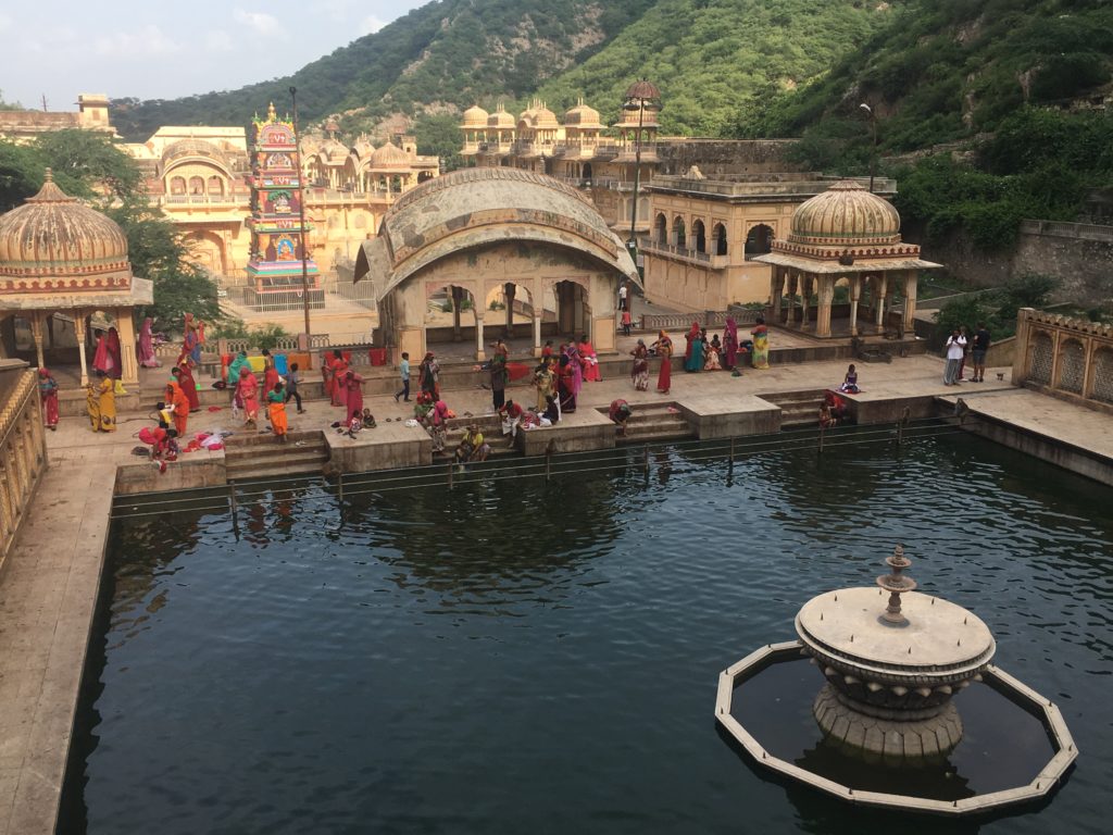 tempio scimmie india jaipur