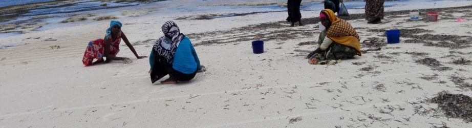 Un mercato in paradiso: fare la spesa in spiaggia a Zanzibar