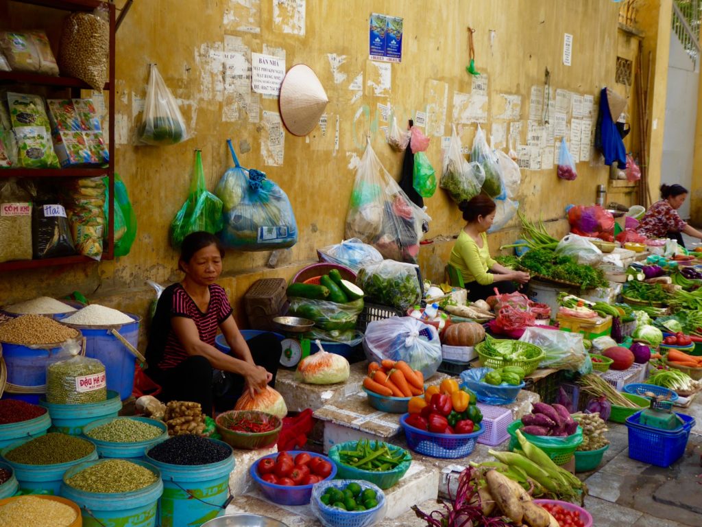 mangiano cani vietnam