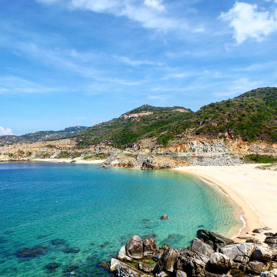 mare in vietnam