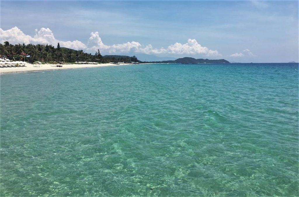 mare in vietnam