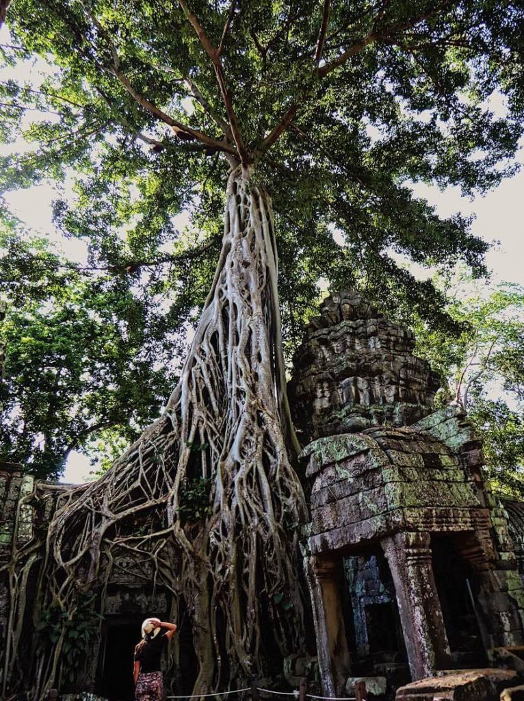 angkor wat in bicicletta 