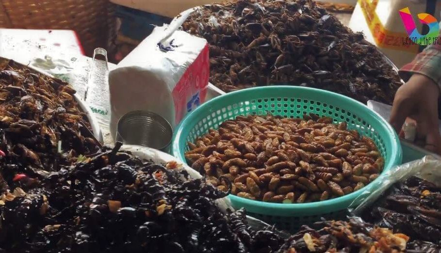 curiosità strane dal mondo cambogia