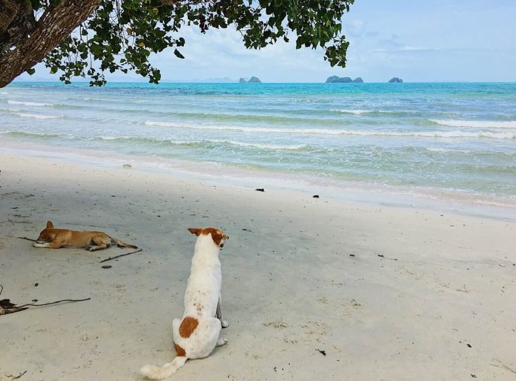 dove non andare in Thailandia